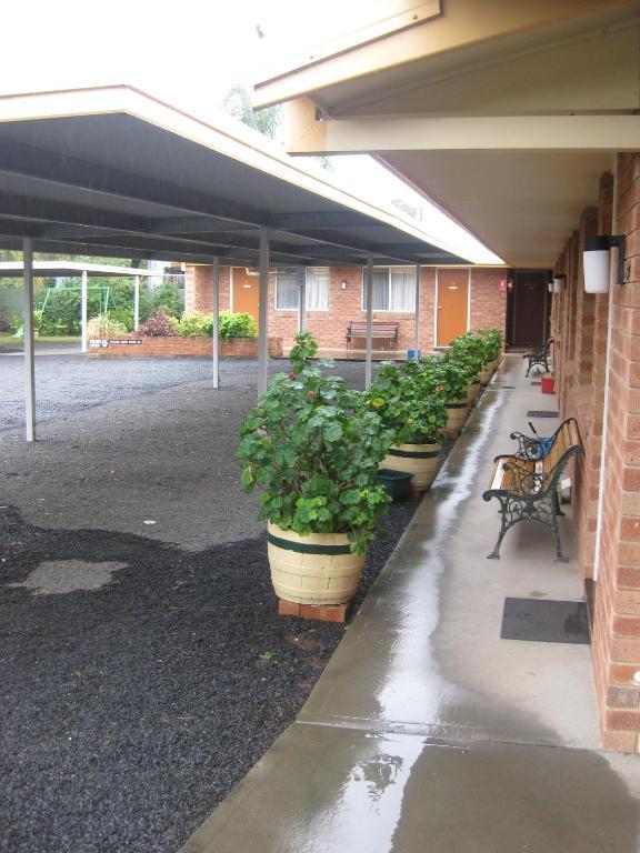 Alfa Motel Gilgandra Luaran gambar
